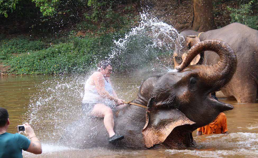 Dudhsagar Waterfalls Goa