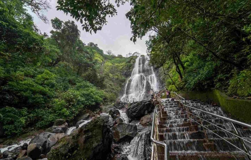 Amboli Waterfall Adventure